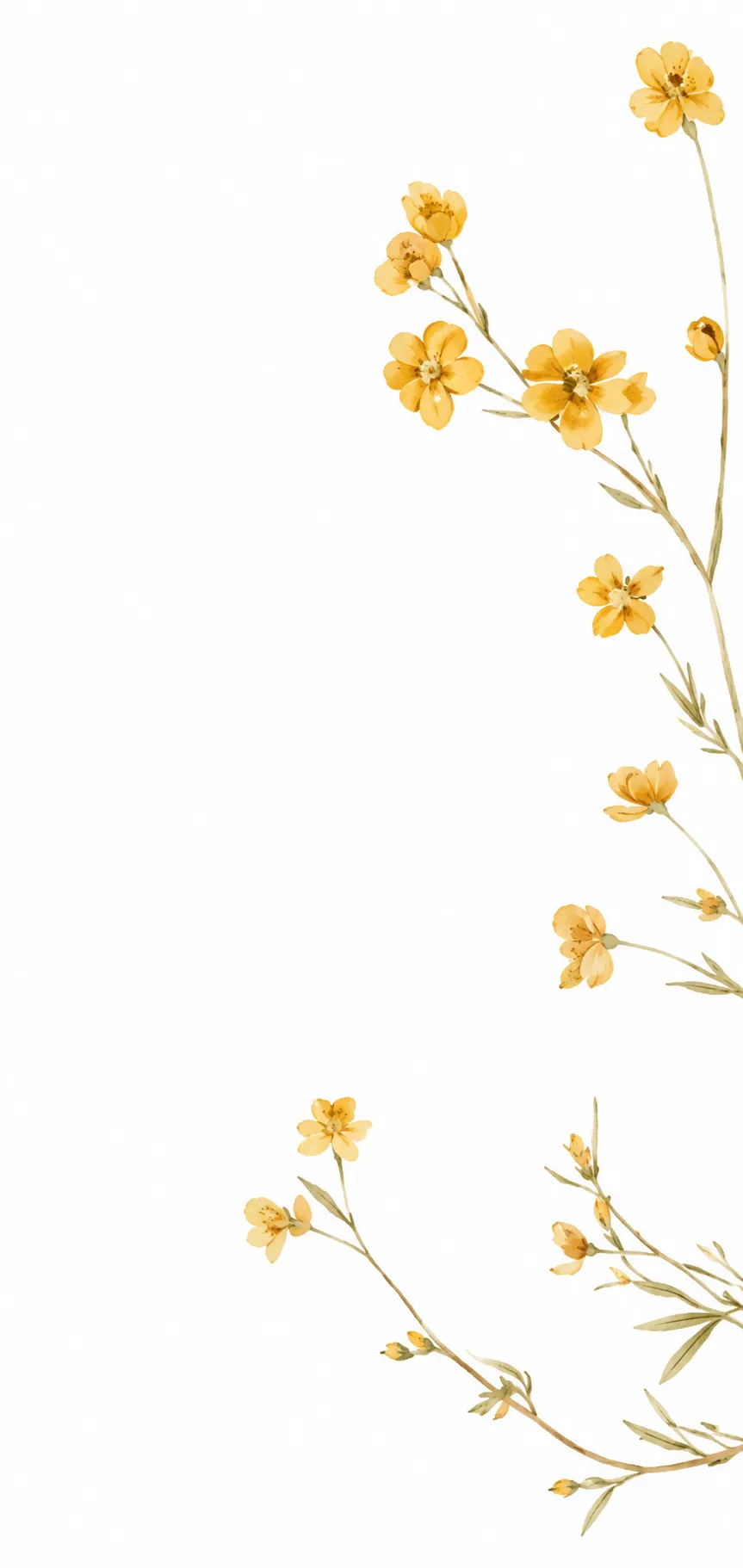 Marigold Petal — Invitation Set